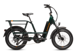 RadRunner™ Max Electric Cargo Utility Bike