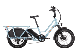 RadWagon™ 5 Electric Cargo Bike