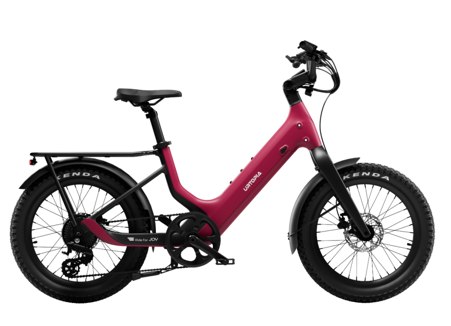 Carbon Joy Ultra E-Bike