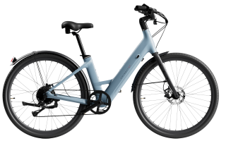 Carbon Classic E-Bike